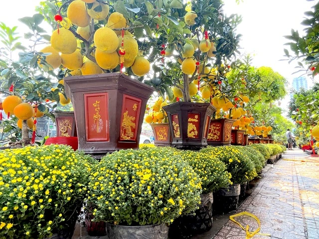 Cúc Mâm Xôi Vàng Truyền Thống - Decor Nhà Hàng Quán Cafe