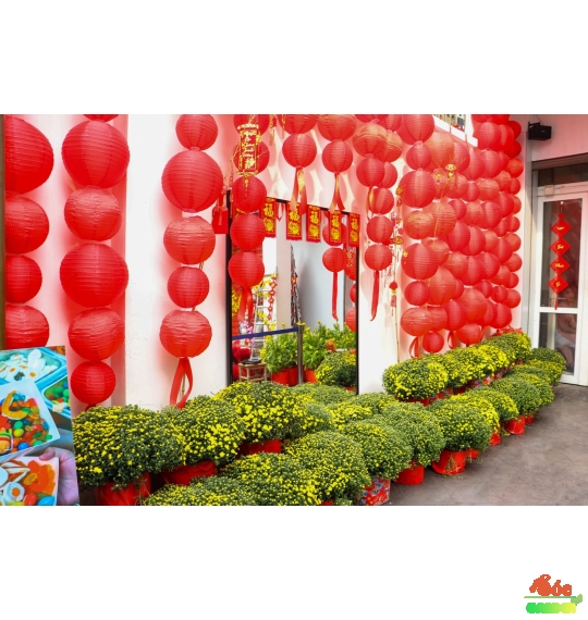 Cúc Mâm Xôi Vàng Truyền Thống - Decor Nhà Hàng Quán Cafe