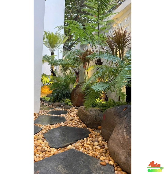 Sỏi cuội trải nền 