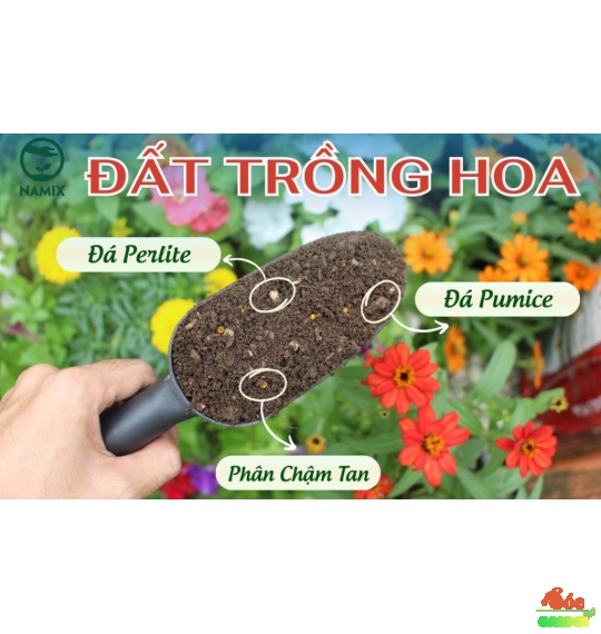 Đất Trồng Hoa – Bí Quyết Giúp Hoa Nở Đẹp, Lâu Tàn