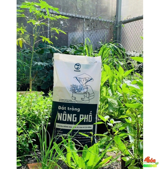 Đất Trồng Nông Phố – Địa Chỉ Uy Tín Cho Giải Pháp Đất Trồng Sạch