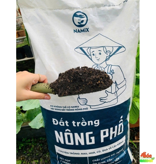 Đất Trồng Nông Phố – Địa Chỉ Uy Tín Cho Giải Pháp Đất Trồng Sạch