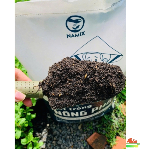 Đất Trồng Nông Phố – Địa Chỉ Uy Tín Cho Giải Pháp Đất Trồng Sạch