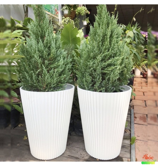 Chậu nhựa gân sọc tròn miệng rộng 38cm x cao 48cm