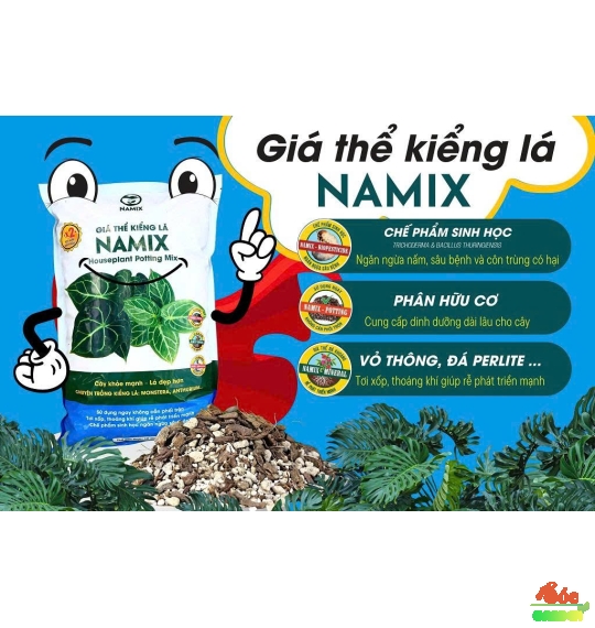 Giá Thể Kiểng Lá – Môi Trường Lý Tưởng Cho Lá Xanh Mướt & Bền Đẹp