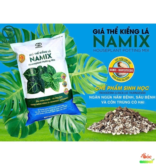 Giá Thể Kiểng Lá – Môi Trường Lý Tưởng Cho Lá Xanh Mướt & Bền Đẹp