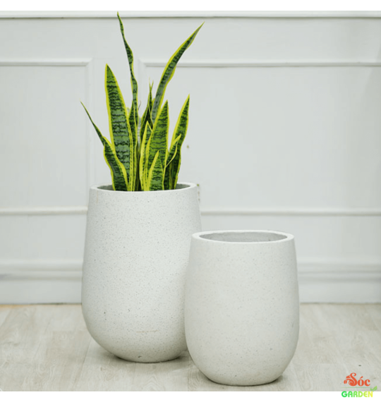 Chậu Xi Măng Đá Mài Giọt Nước 40x60