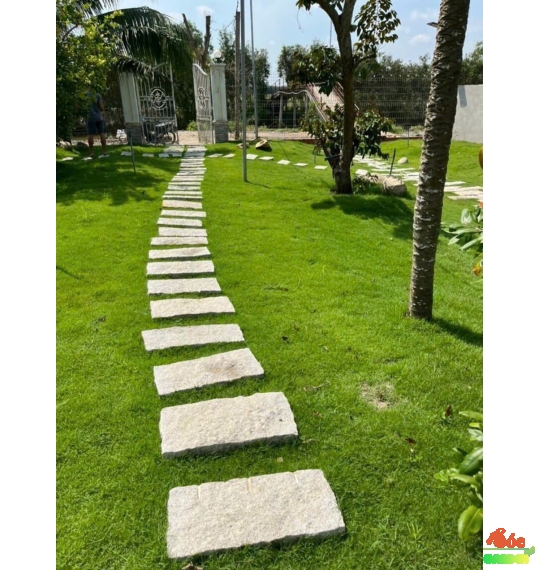 Đá bước bộ chữ nhật 30x60x5 cm
