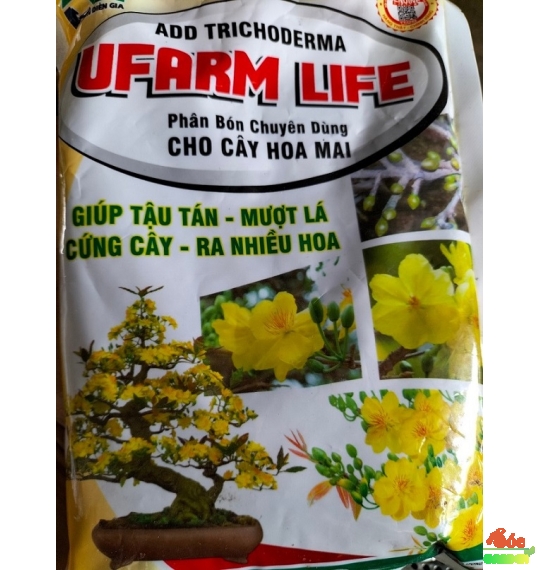 Phân chuyên cho hoa mai