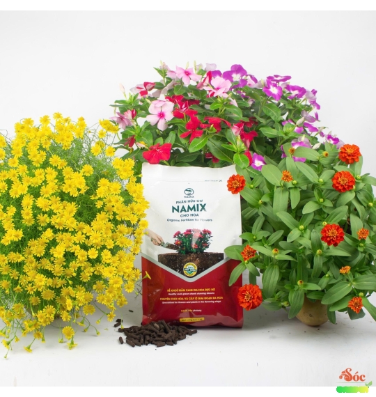 Phân Hữu Cơ Cho Hoa – Dinh Dưỡng Tự Nhiên, Giúp Hoa Nở Đẹp Lâu Tàn