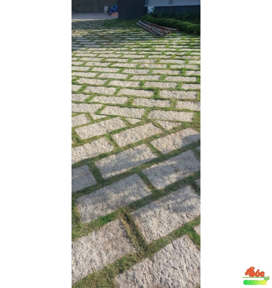 Đá bước bộ chữ nhật 30x60x5 cm