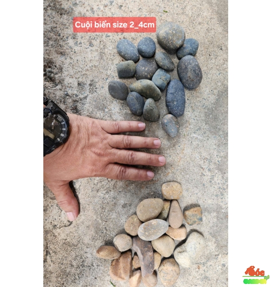 Sỏi cuội trải nền 