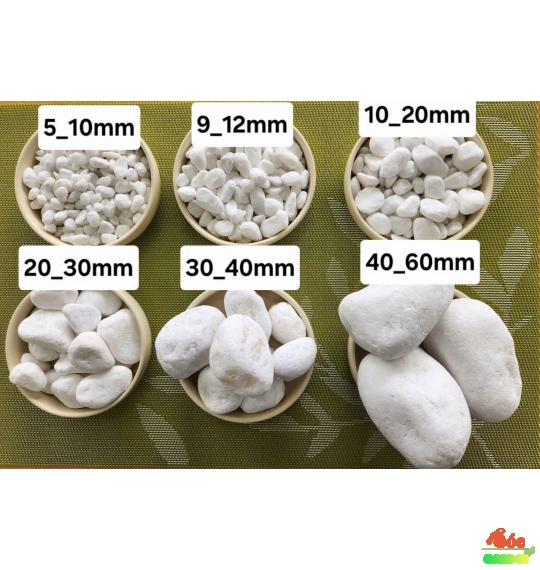 Sỏi cuội trắng trải nền nhiều kích thước 