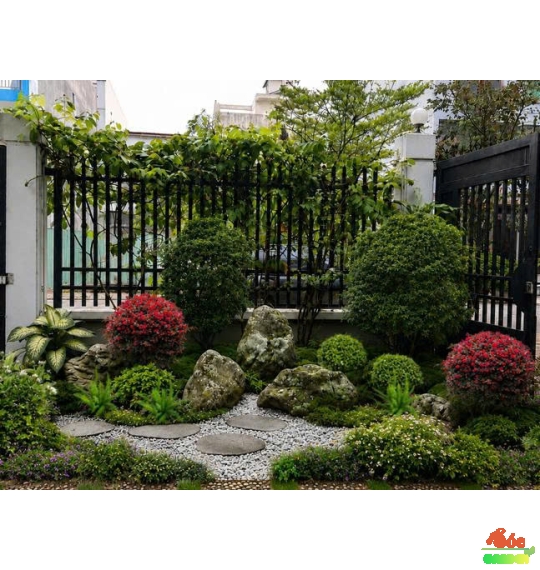 Sỏi cuội trải nền 